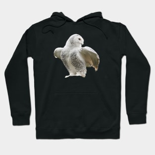 Snow owl / Swiss Artwork Photography Hoodie